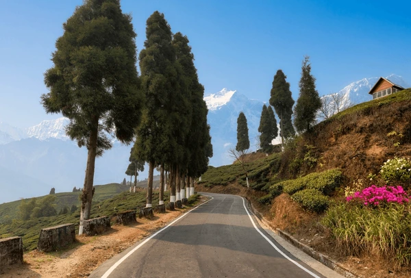 How to plan a trip to Sikkim and Darjeeling