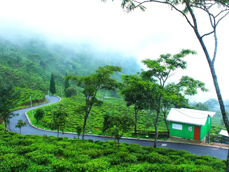 10 Offbeat Places Near Darjeeling You’ve Probably Never Heard Of